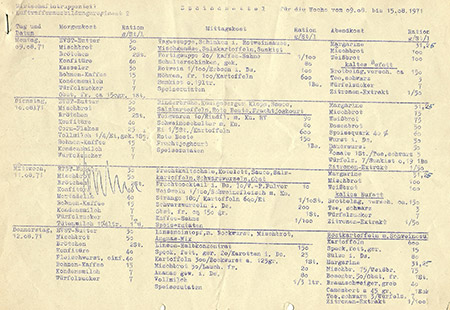 Penibel erstellter Wochen-Speiseplan
