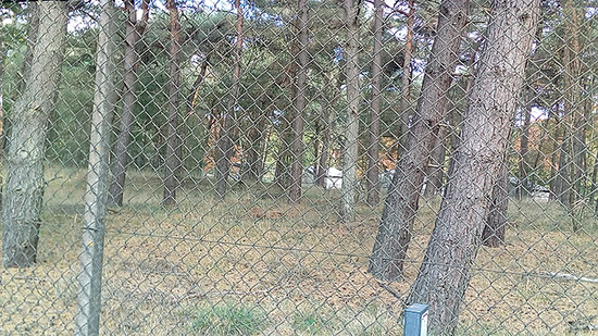 Legerplaats Budel 2018